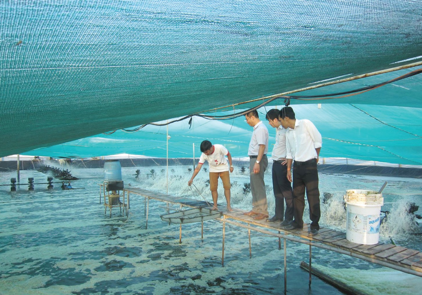 Phát triển khoa học công nghệ đối với giống thủy sản