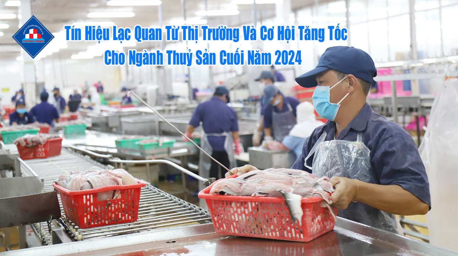 Tín Hiệu Lạc Quan Từ Thị Trường Và Cơ Hội Tăng Tốc Cho Ngành Thuỷ Sản Cuối Năm 2024