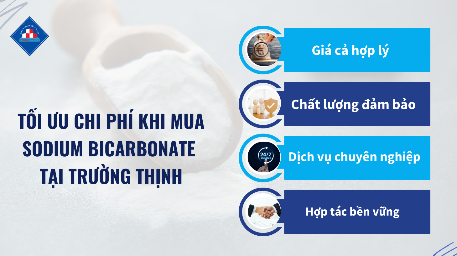 Tối Ưu Chi Phí Khi Mua Sodium Bicarbonate Tại Trường Thịnh