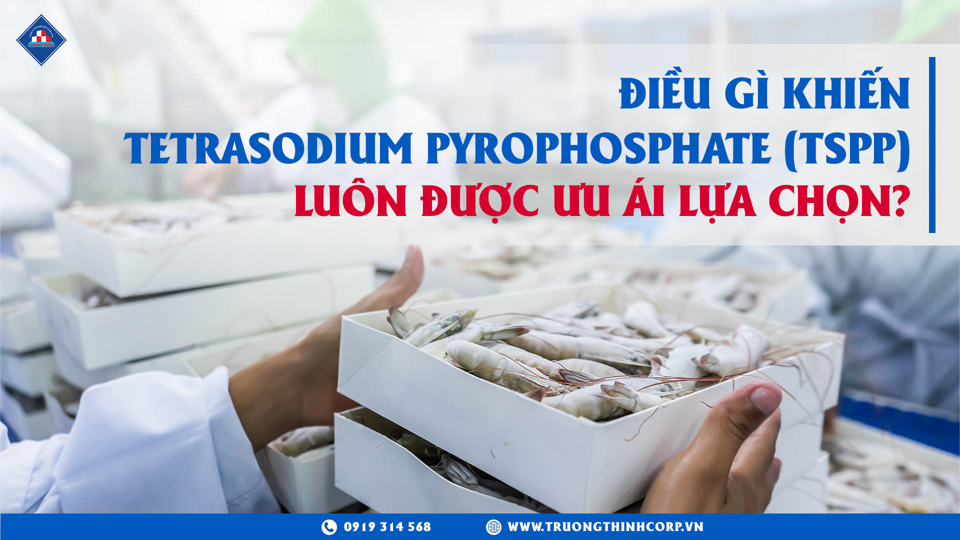 Điều gì khiến Tetrasodium Pyrophosphate được các nhà máy chế biến thủy sản “ưu ái lựa chọn”