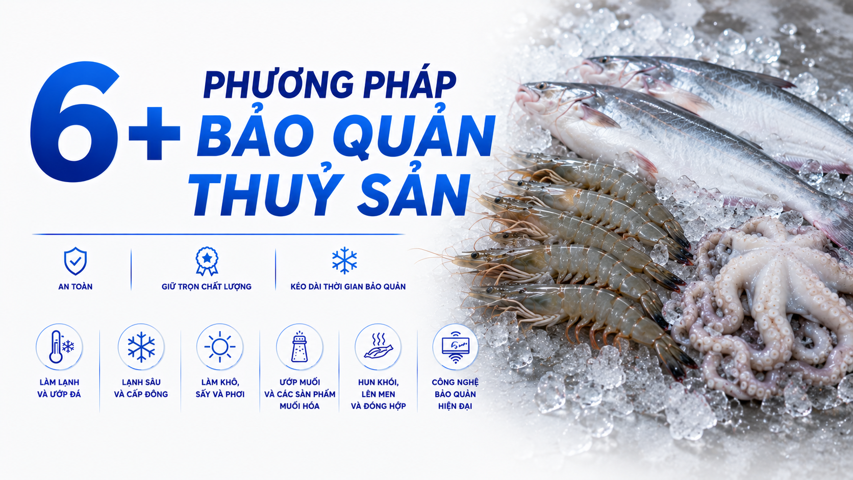6+ Phương Pháp Bảo Quản Thủy Sản Hiệu Quả