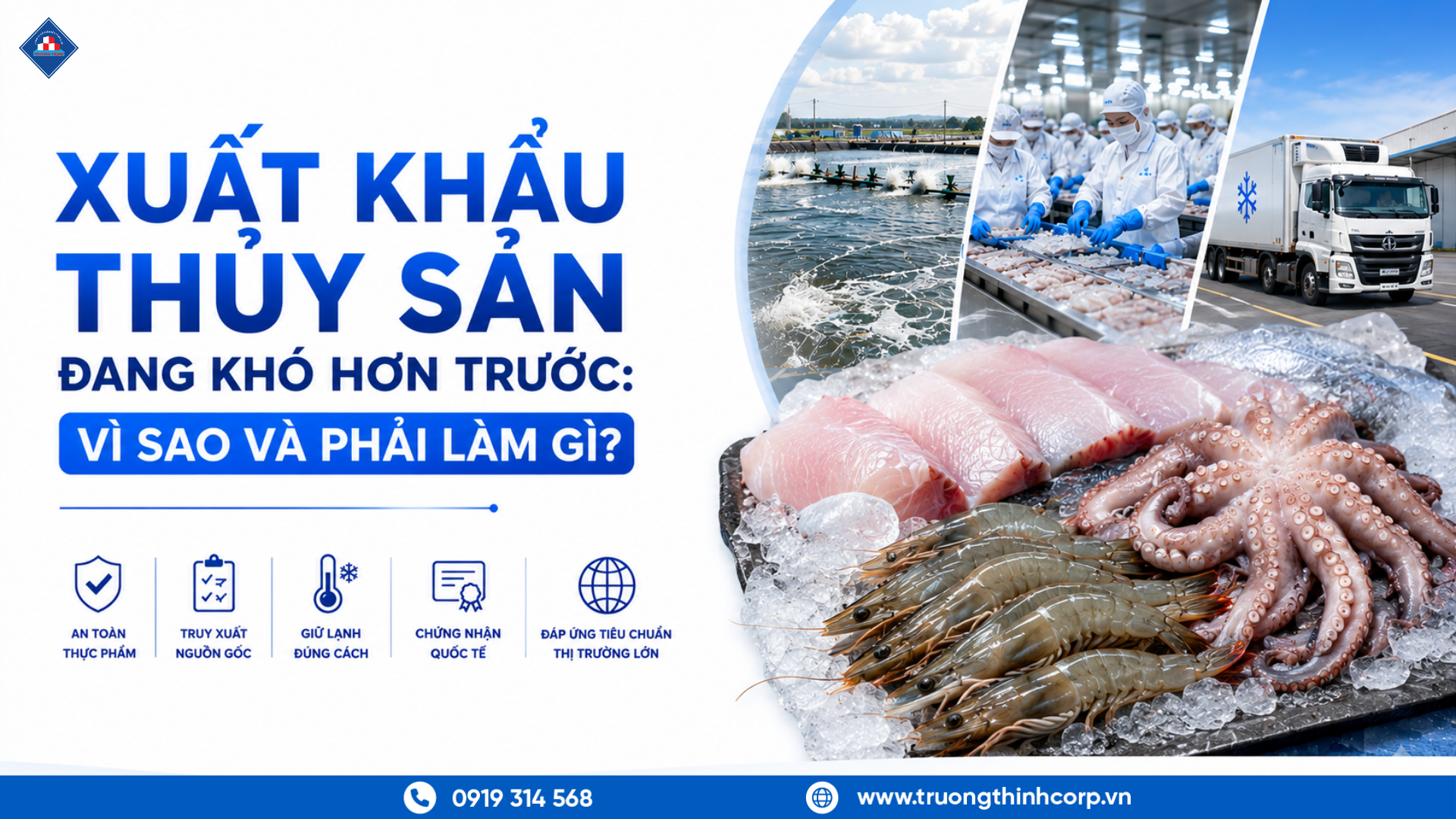 Xuất Khẩu Thủy Sản Đang Khó Hơn Trước: Vì Sao Và Phải Làm Gì?