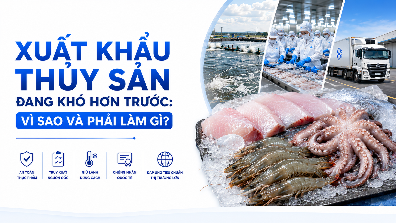 Xuất Khẩu Thủy Sản Đang Khó Hơn Trước: Vì Sao Và Phải Làm Gì?