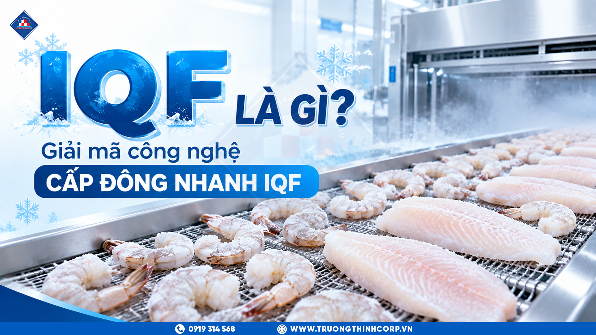 IQF Là Gì? Giải Mã Công Nghệ Cấp Đông Nhanh IQF