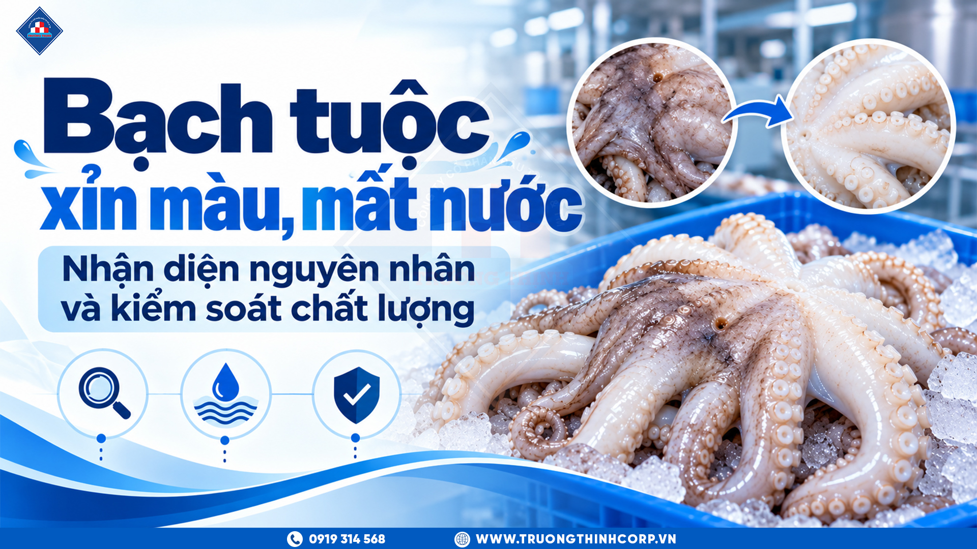 Bạch Tuộc Xỉn Màu, Mất Nước: Nhận Diện Nguyên Nhân Và Kiểm Soát Chất Lượng