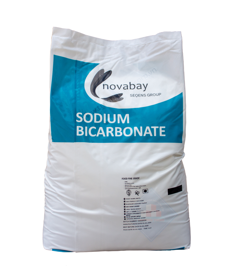 SODIUM BICARBONATE