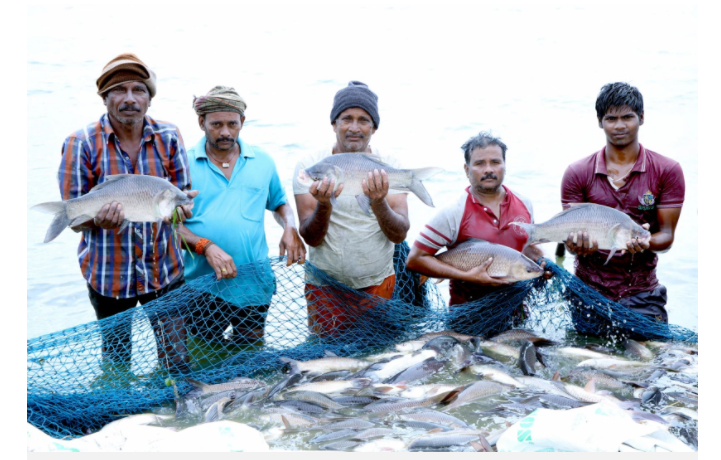 Kế hoạch phát triển ngành thủy sản ở Ấn Độ