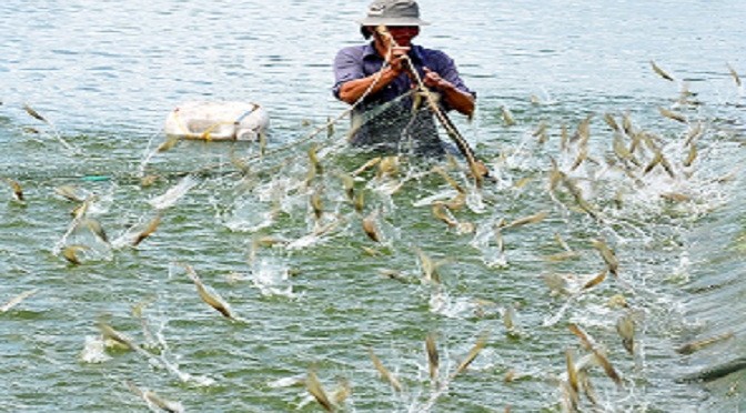 Việt Nam và Na Uy thúc đẩy hợp tác song phương ngành thủy sản