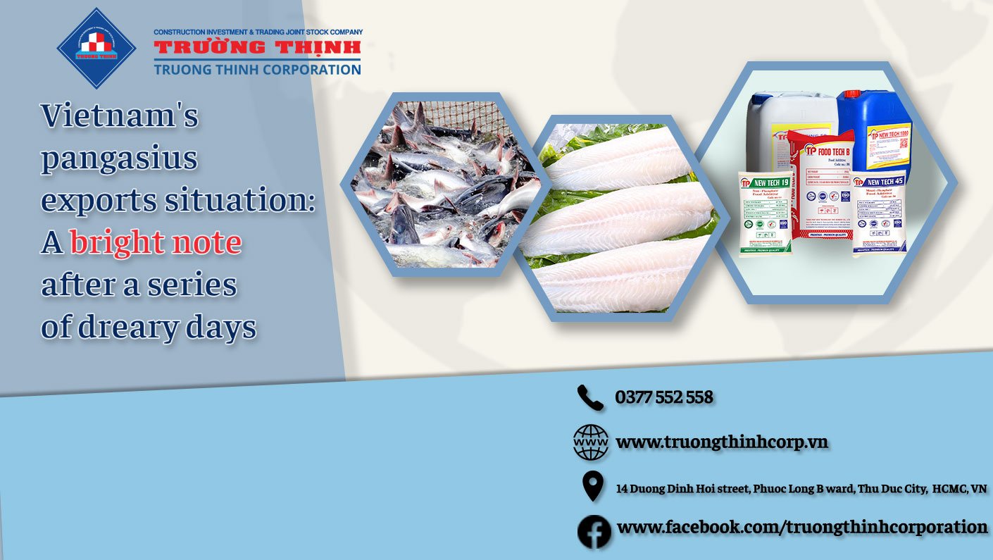 Vietnam's pangasius exports situation: A bright note after a series of dreary days